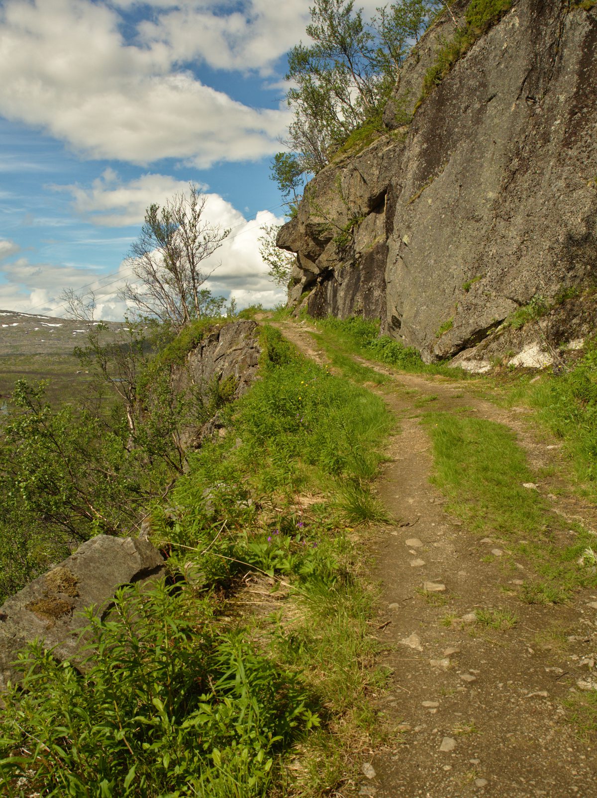 Sverige Arkiver – Steinjakob.net